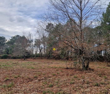 Arsac terrain à bâtir de 2003 m²